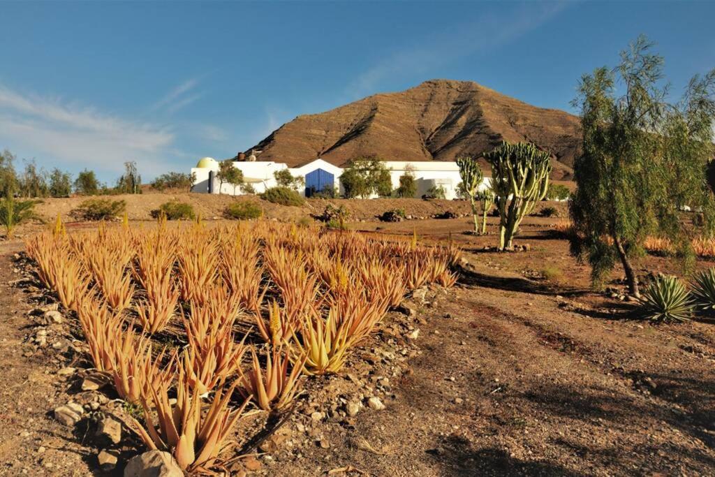 Romantica Fuego - Eco Retreat Finca Artis Tirma Appartement Tarajalejo Buitenkant foto